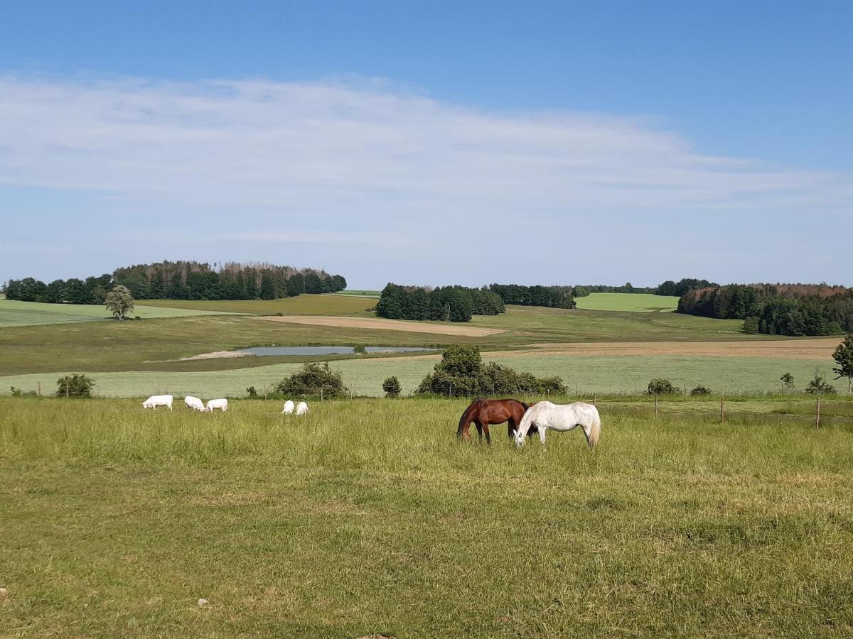 Ubytování U Křivánků Telč Exterior foto