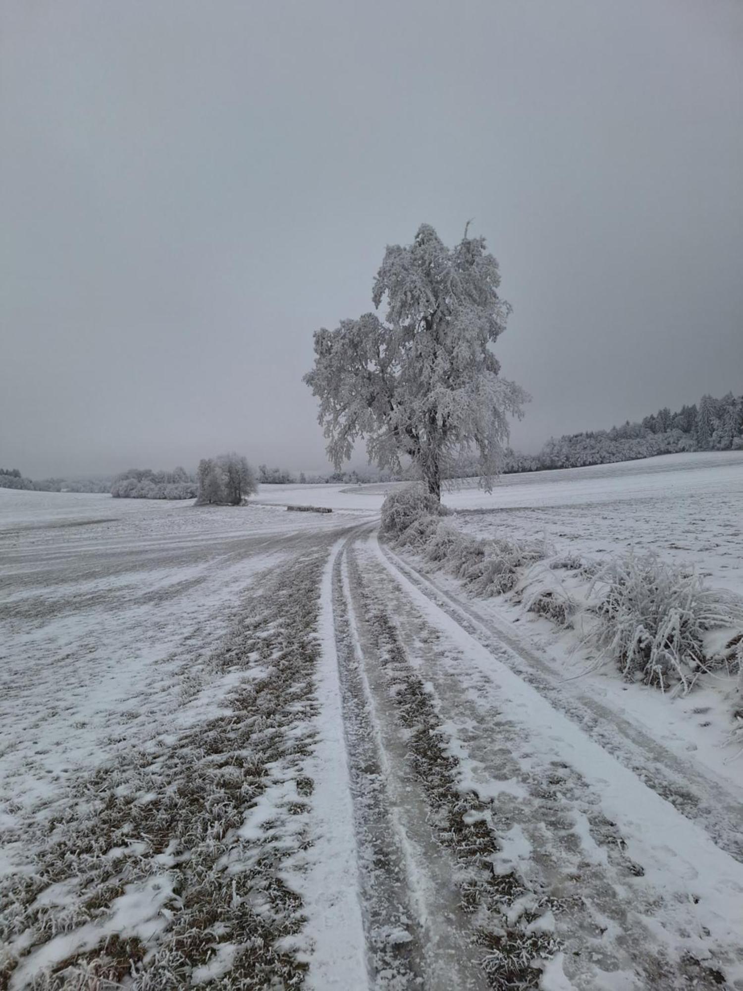 Ubytování U Křivánků Telč Exterior foto